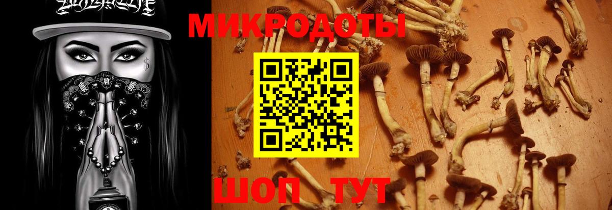 Лосино-Петровский  Псилоцибиновые грибы GOLDEN TEACHER  Вход с VPN  Псилоцибиновые грибы прущие грибы 